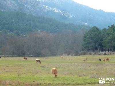 Fortines y Trincheras: Río Cofio; almanzor valverde de los arroyos rutas senderismo nacimiento del 